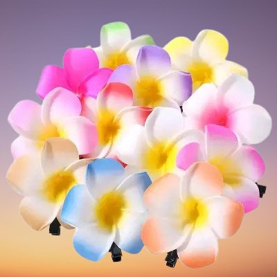 Pince pour Cheveux HawaiianFlower™ lot de 24 pièces en présentation