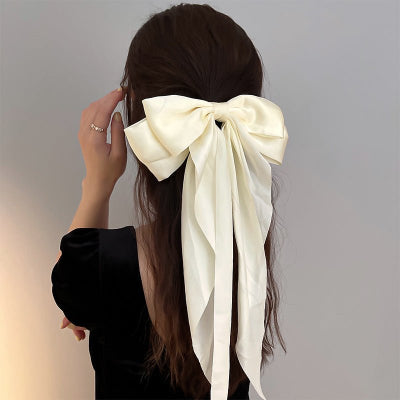BARRETTE CHEVEUX | NOEUDO™ pour les femmes élégantes