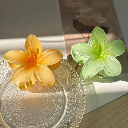 PINCE CHEVEUX | VERRE D'HIBISCUS - la variante orange vert sur une table